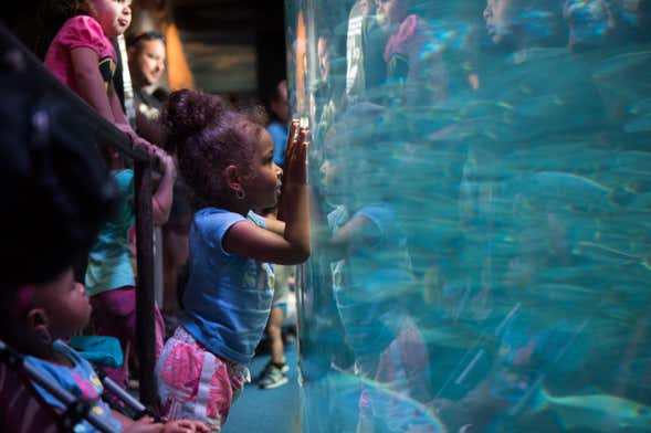 Aquarium of The Pacific Ticket