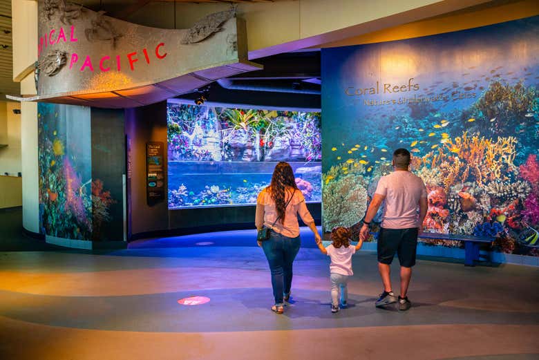 Welcome to the Aquarium of The Pacific