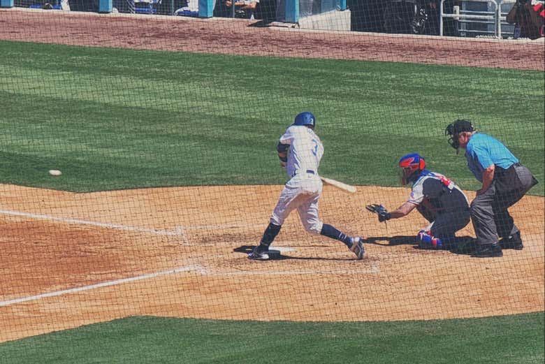 Experience a Los Angeles Dodgers game!