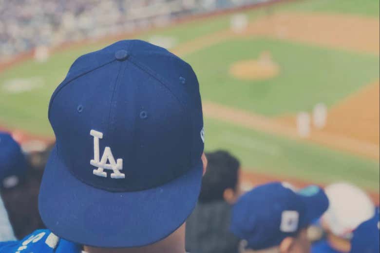 Feel the excitment of baseball!