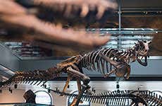 Los Angeles Travel Guide