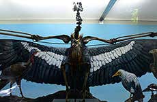 Los Angeles Travel Guide