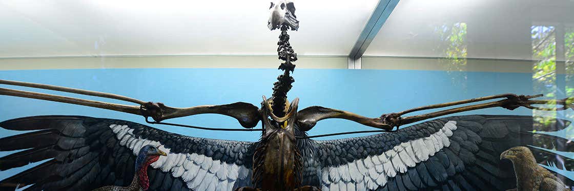La Brea Tar Pits And Museum Photos